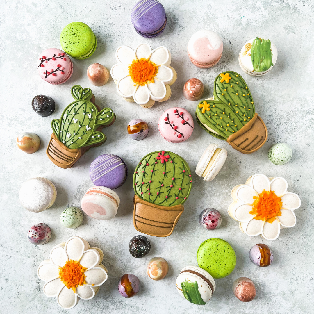 Say It with Macarons: Our New Cactus and Daisy Designs Are Perfect for Any Occasion!