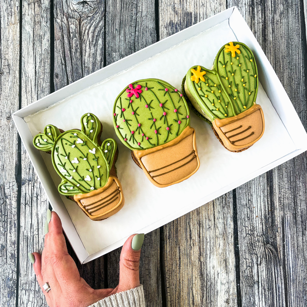 Upgrade Supplement to Box of 3 Large Cactus Macarons