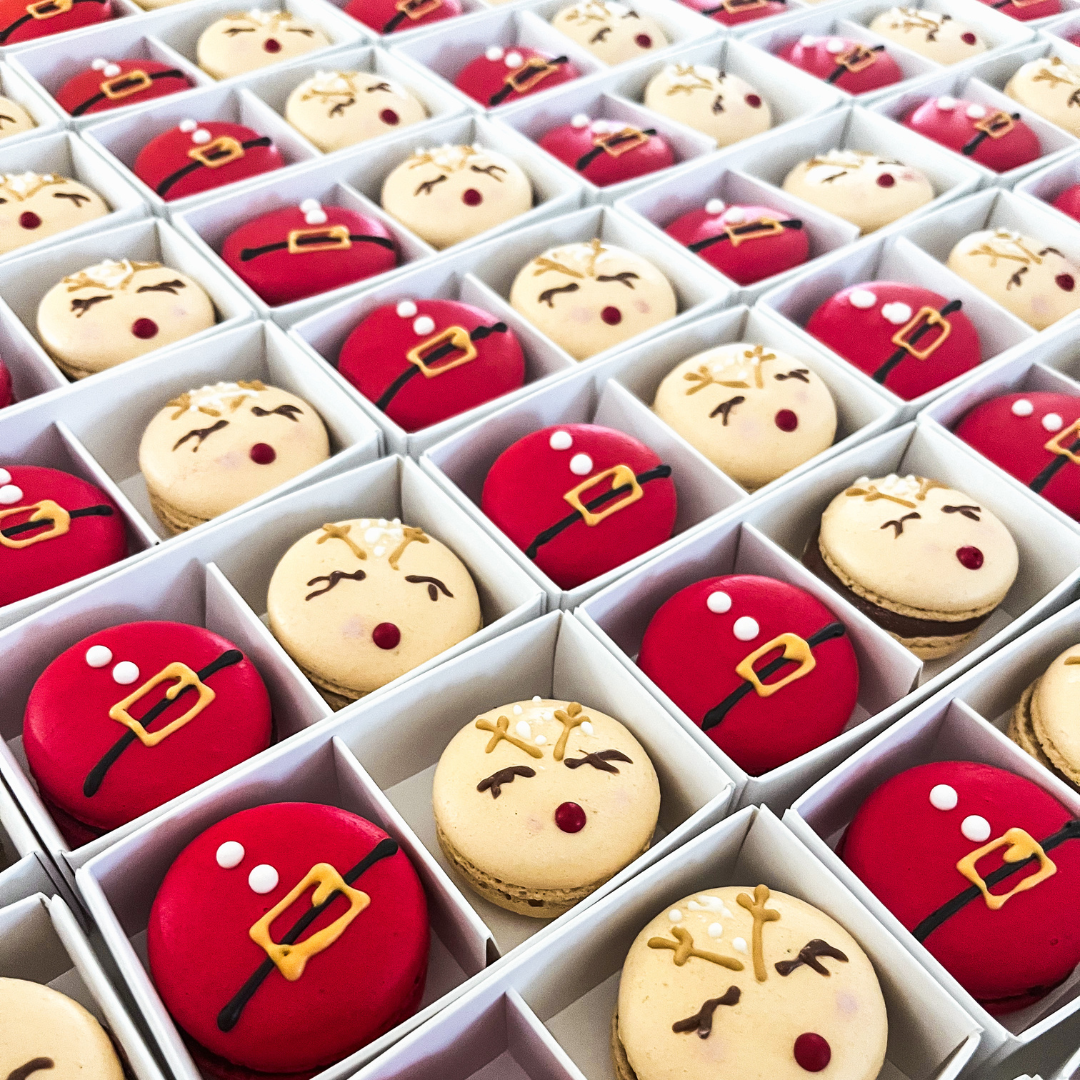 Christmas Stocking Fillers: Character Macaron Magic (Box of 2)