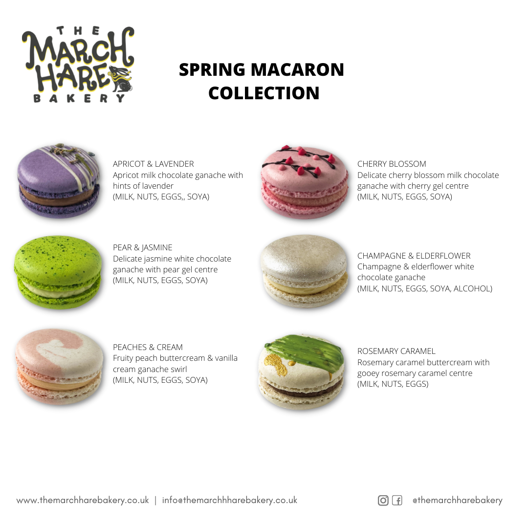 Blooms of Joy: Spring Macaron Collection